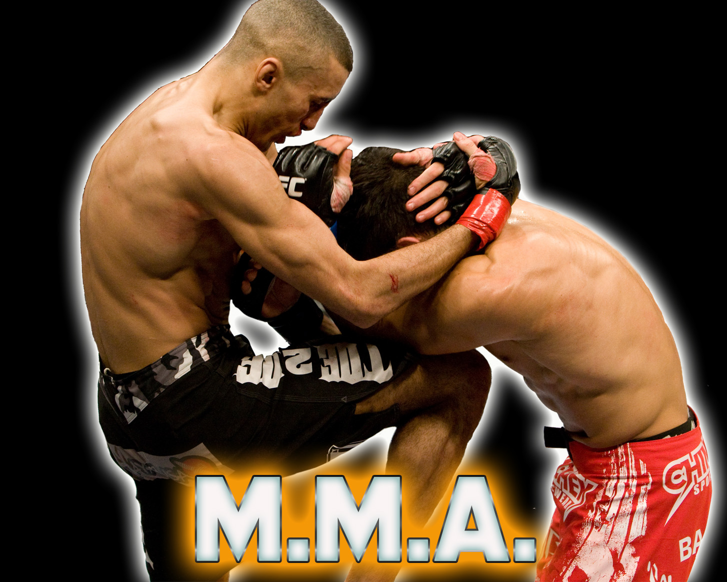 MMA Centocelle - Palestra Mixed Martial Arts a MMA Centocelle